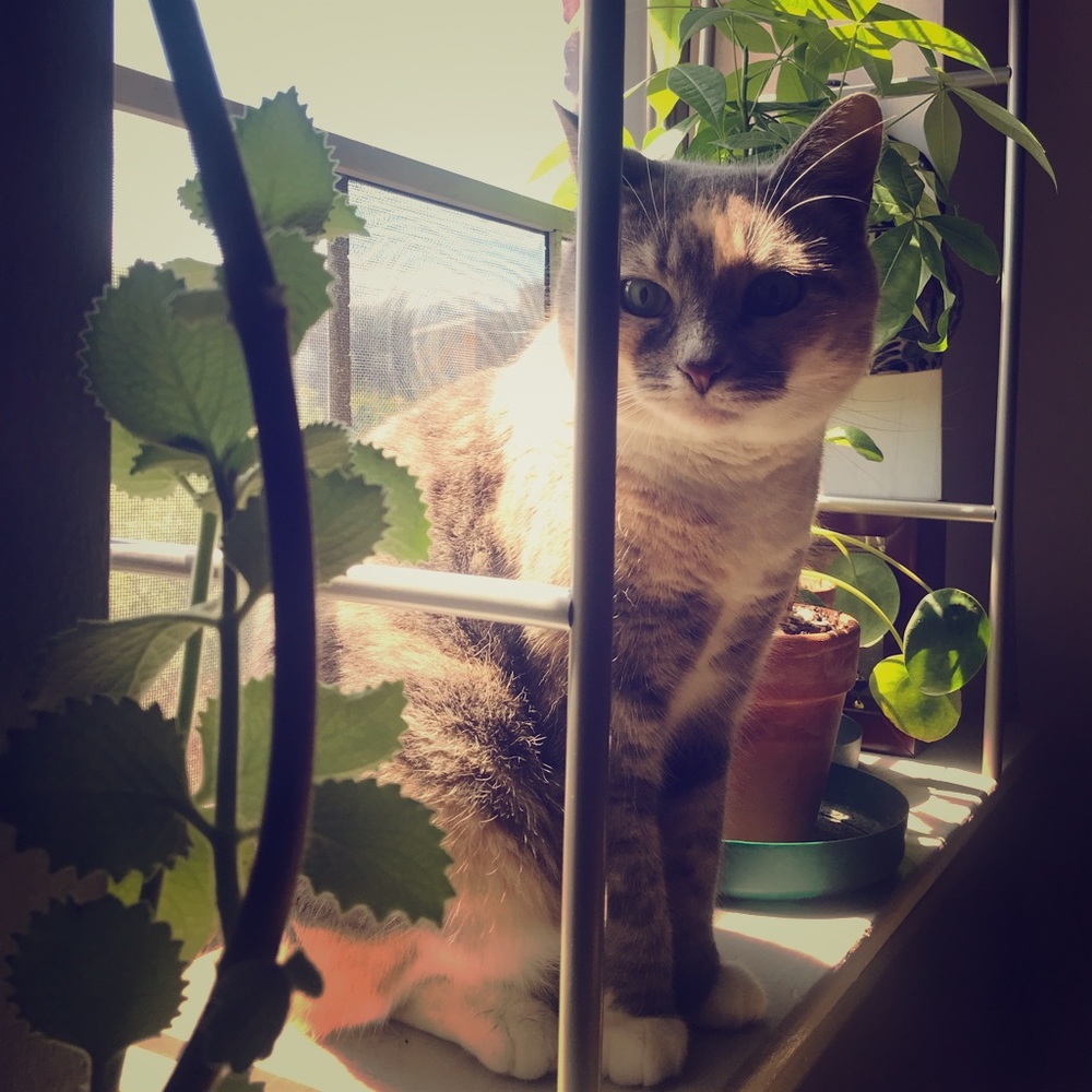 Meet your Posher, Kelly